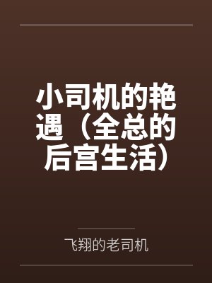 小司机的艳遇（全总的后宫生活）by飞翔的老司机